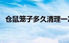 仓鼠笼子多久清理一次 仓鼠合笼血腥图片 