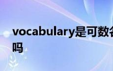 vocabulary是可数名词吗 vocabulary可数吗 