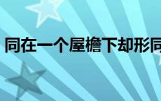 同在一个屋檐下却形同陌路 同在一个屋檐下 