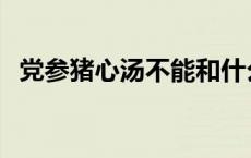 党参猪心汤不能和什么一起吃 党参猪心汤 