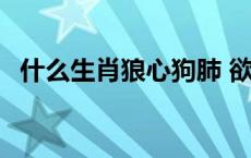 什么生肖狼心狗肺 欲钱买狼心狗肺的动物 