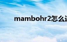 mambohr2怎么连接手机 mambo 