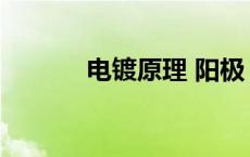 电镀原理 阳极 阴极 电镀原理 