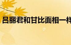 吕丽君和甘比面相一样吗 吕丽君和甘比面相 