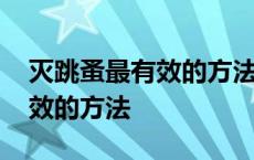 灭跳蚤最有效的方法是熏艾草么 灭跳蚤最有效的方法 