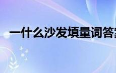 一什么沙发填量词答案 一什么沙发填量词 