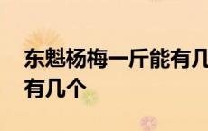 东魁杨梅一斤能有几个果肉 东魁杨梅一斤能有几个 