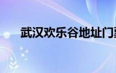 武汉欢乐谷地址门票 武汉欢乐谷地址 