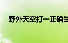 野外天空打一正确生肖和数字 野外天空 