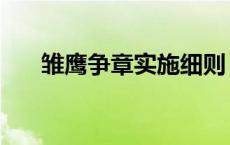 雏鹰争章实施细则 雏鹰争章有哪些章 