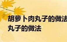 胡萝卜肉丸子的做法大全家常窍门 胡萝卜肉丸子的做法 