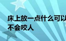 床上放一点什么可以赶走臭虫 开灯睡臭虫会不会咬人 