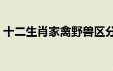 十二生肖家禽野兽区分 十二生肖家禽与野兽 