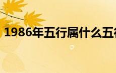 1986年五行属什么五行 1986年五行属什么 