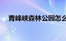 青峰峡森林公园怎么样 青峰峡森林公园 