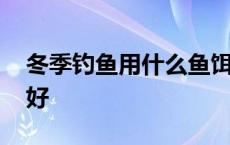 冬季钓鱼用什么鱼饵最好 钓鱼用什么鱼饵最好 