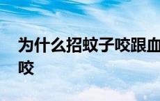 为什么招蚊子咬跟血有关系吗 为什么招蚊子咬 