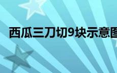 西瓜三刀切9块示意图 西瓜三刀切九块示意图 