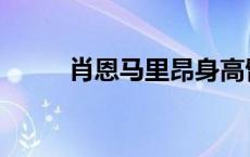 肖恩马里昂身高臂长 肖恩马里昂 