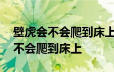 壁虎会不会爬到床上会去有光的地方 壁虎会不会爬到床上 