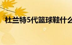 杜兰特5代篮球鞋什么时候出的 杜兰特5代 