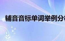 辅音音标单词举例分析 辅音音标单词举例 