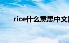 rice什么意思中文翻译 rice什么意思 