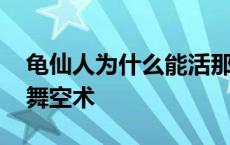 龟仙人为什么能活那么久 为什么龟仙人不学舞空术 