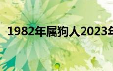 1982年属狗人2023年下半年运势 1982年 