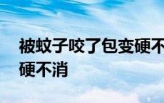 被蚊子咬了包变硬不消宝宝 被蚊子咬了包变硬不消 