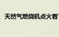 天然气燃烧机点火着了就灭 天然气燃烧机 