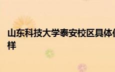 山东科技大学泰安校区具体位置 山东科技大学泰安校区怎么样 