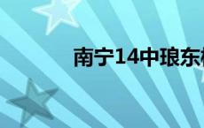 南宁14中琅东校区 南宁14中 