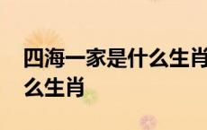 四海一家是什么生肖最佳答案 四海一家是什么生肖 