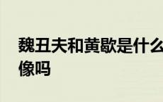 魏丑夫和黄歇是什么关系 魏丑夫和黄歇长得像吗 