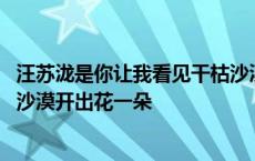 汪苏泷是你让我看见干枯沙漠开出花一朵 是你让我看见干枯沙漠开出花一朵 