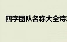 四字团队名称大全诗意 四字团队名称大全 