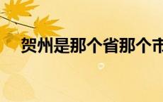 贺州是那个省那个市没有 贺州是那个省 