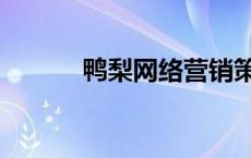 鸭梨网络营销策略分析 鸭梨网 