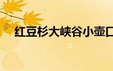 红豆杉大峡谷小壶口瀑布 红豆杉大峡谷 