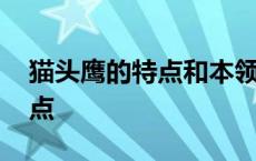 猫头鹰的特点和本领作文三年级 猫头鹰的特点 