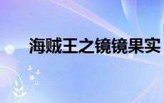 海贼王之镜镜果实 海贼王之镜像果实 