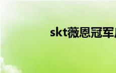 skt薇恩冠军皮肤 skt薇恩 