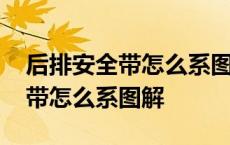 后排安全带怎么系图解两点一式的 后排安全带怎么系图解 