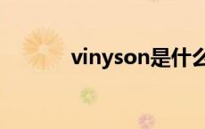 vinyson是什么牌子 vinyson 