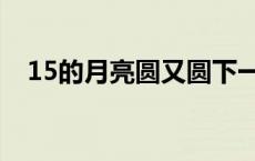 15的月亮圆又圆下一句是什么 15的月亮 