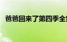 爸爸回来了第四季全集 爸爸回来了第四季 