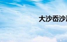 大沙岙沙滩 大沙岙 