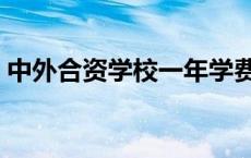 中外合资学校一年学费多少钱 中外合资学校 