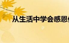 从生活中学会感恩作文 从生活中学会 